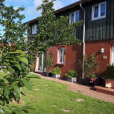 " Haus Zwischen Den Meeren " Strubbel Buitenkant foto