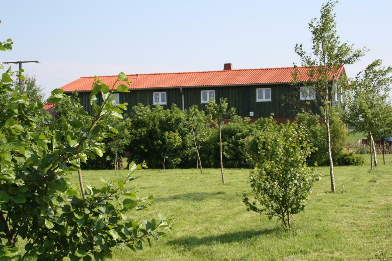 " Haus Zwischen Den Meeren " Strubbel Buitenkant foto